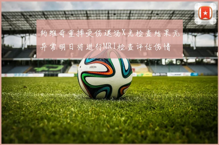 约维奇重摔受伤退场X光检查结果无异常明日将进行MRI检查评估伤情