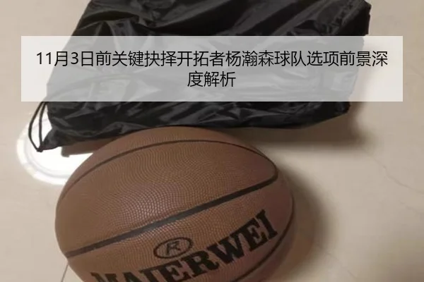 11月3日前关键抉择开拓者杨瀚森球队选项前景深度解析 | c7c7app