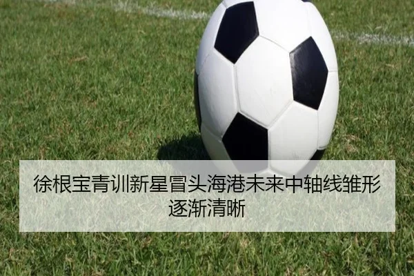徐根宝青训新星冒头海港未来中轴线雏形逐渐清晰 | c7c7app